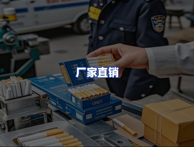 专业团队